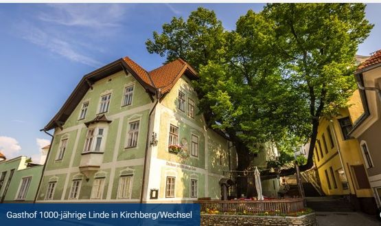 Wertermittlung bei Waldgrundstücken: Land- und forstwirtschaftliche Liegenschaften